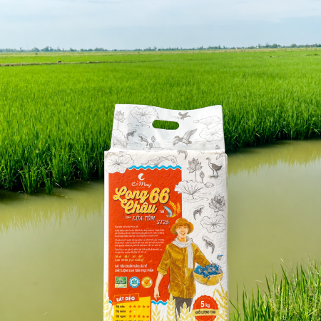 Gạo Long Châu 66