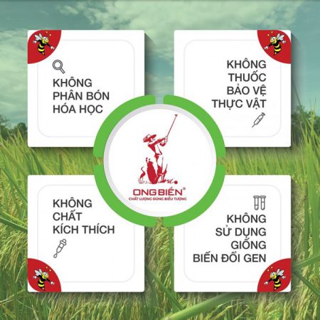Gạo hữu cơ Thần Nông Ong Biển