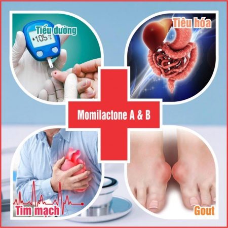 Gạo hữu cơ Thần Nông Ong Biển