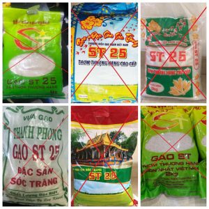 Cách phân biệt gạo ST25 thật và giả