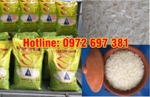 gạo nấu cơm niêu ngon nhất