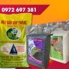Combo túi gạo ABP02