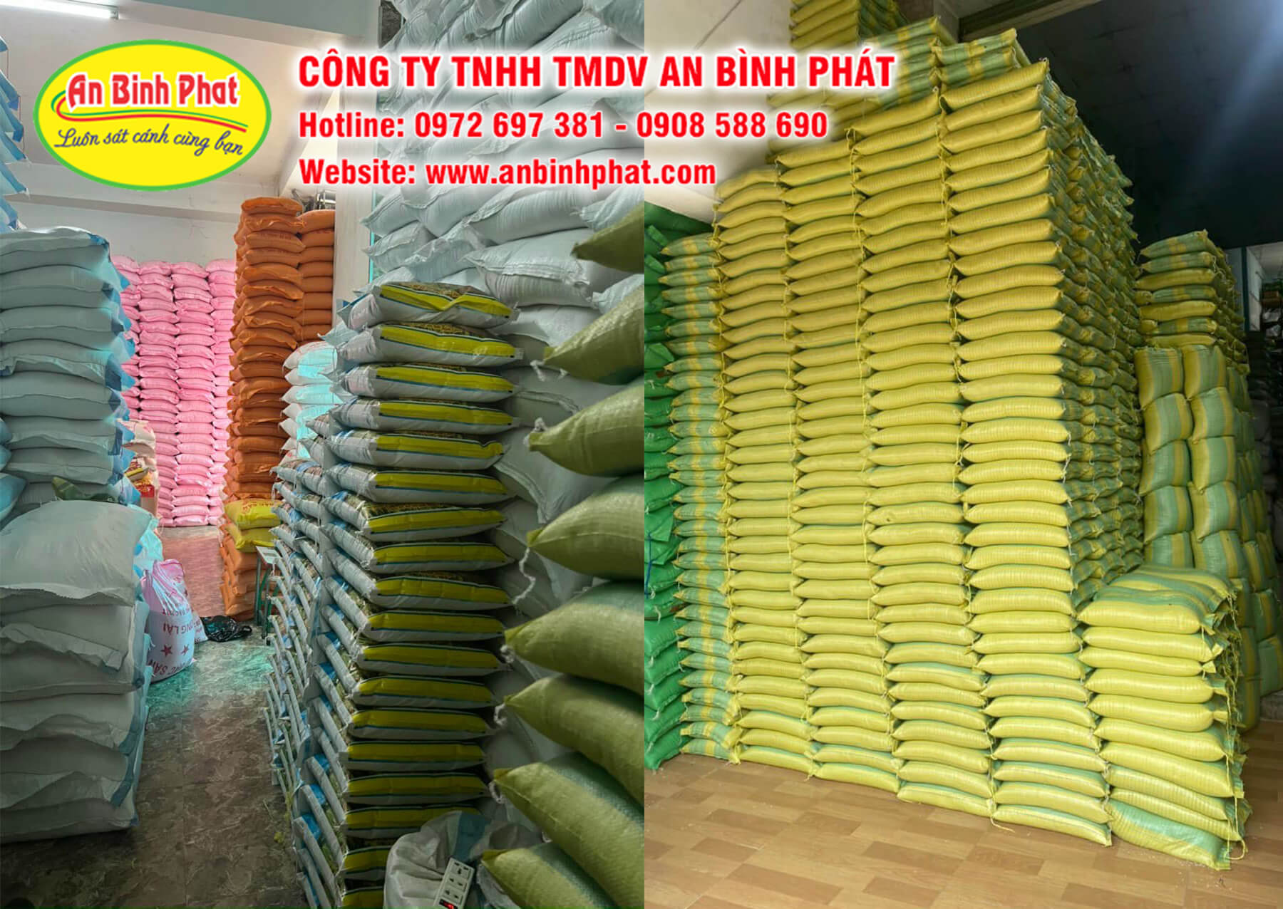 Vựa gạo, kho gạo An Bình Phát chuyên cung cấp gạo giá sỉ làm từ thiện
